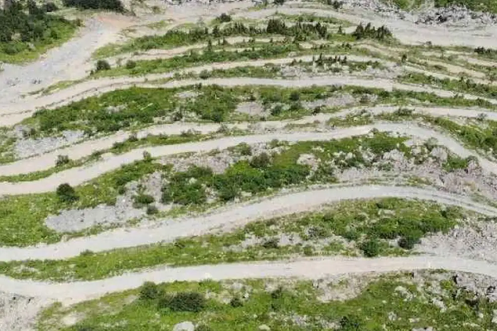 Bayburt, Yöresel Lezzetler